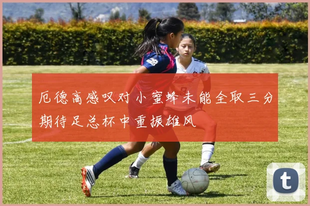 厄德高感叹对小蜜蜂未能全取三分期待足总杯中重振雄风