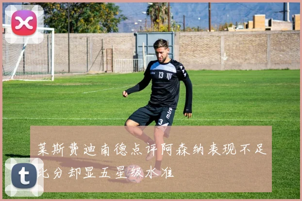 莱斯费迪南德点评阿森纳表现不足比分却显五星级水准