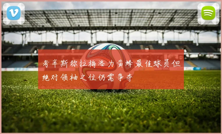 考辛斯称拉梅洛为黄蜂最佳球员但绝对领袖之位仍需争夺