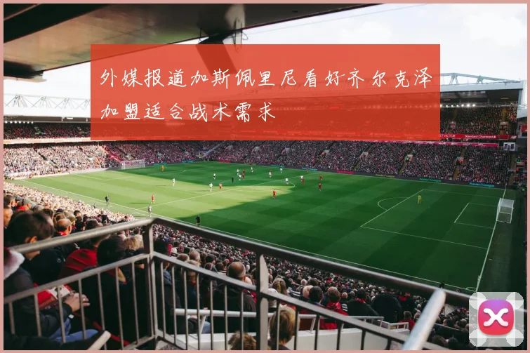 外媒报道加斯佩里尼看好齐尔克泽加盟适合战术需求