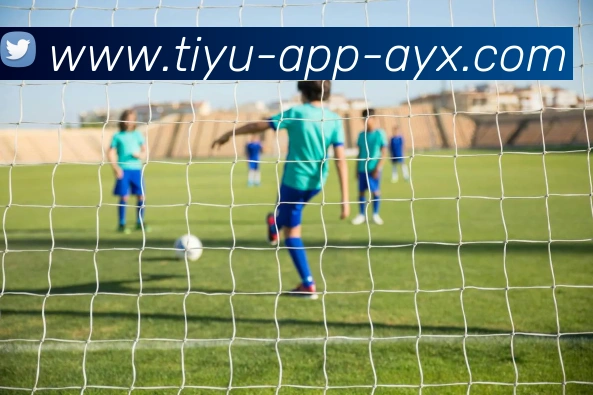 爱游戏发展历程