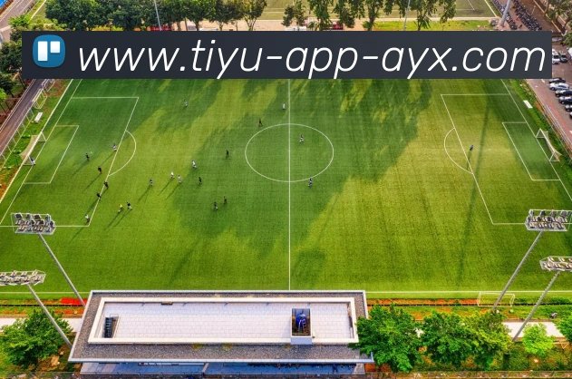 贝克汉姆出席达沃斯论坛被问及布鲁克林时选择直接离开